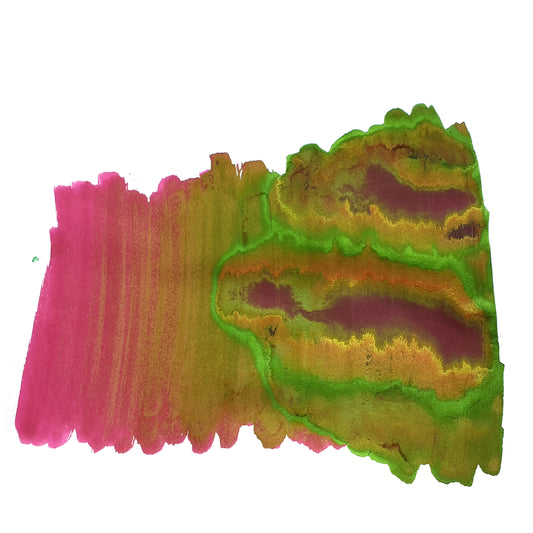 A Decade in the Desert - Prickly Pear Fountain Pen Ink