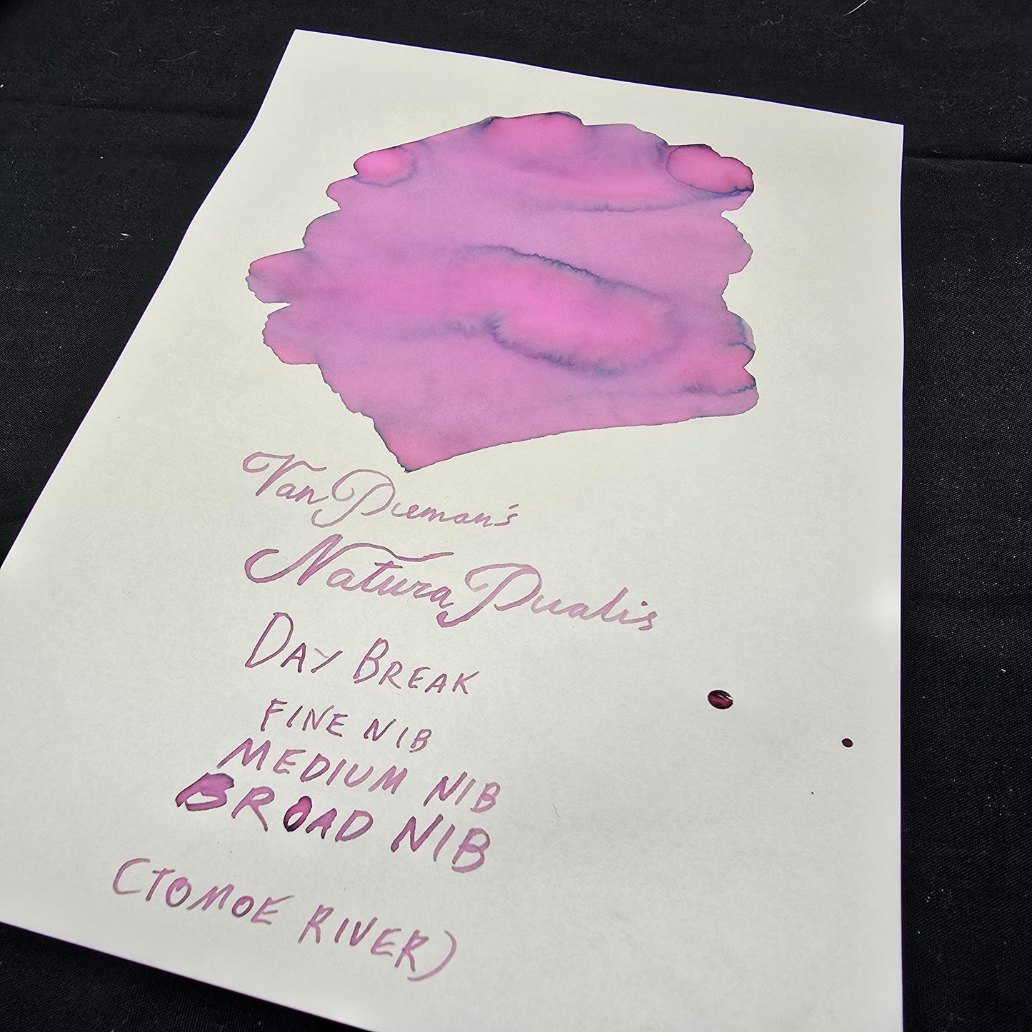 Van Dieman's Professional - Natura Dualis Daybreak Dual Tone Fountain Pen Ink