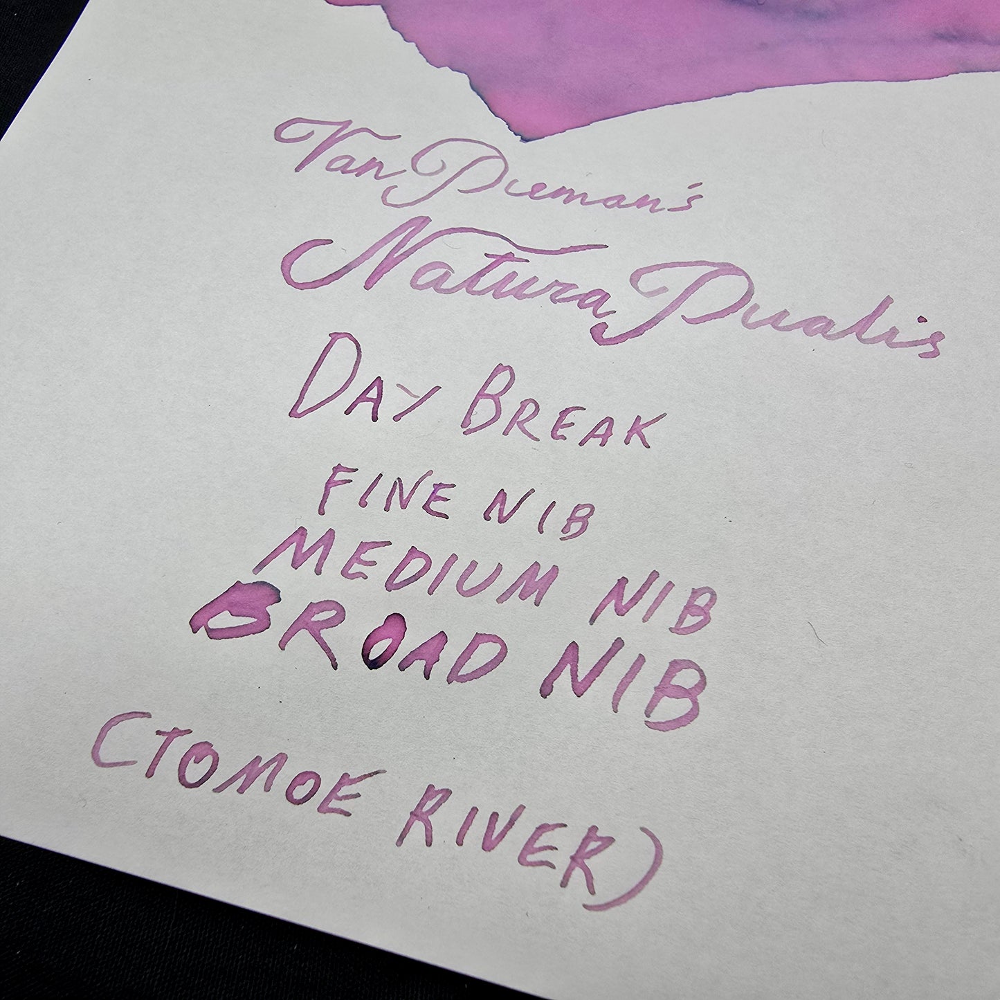 Van Dieman's Professional - Natura Dualis Daybreak Dual Tone Fountain Pen Ink