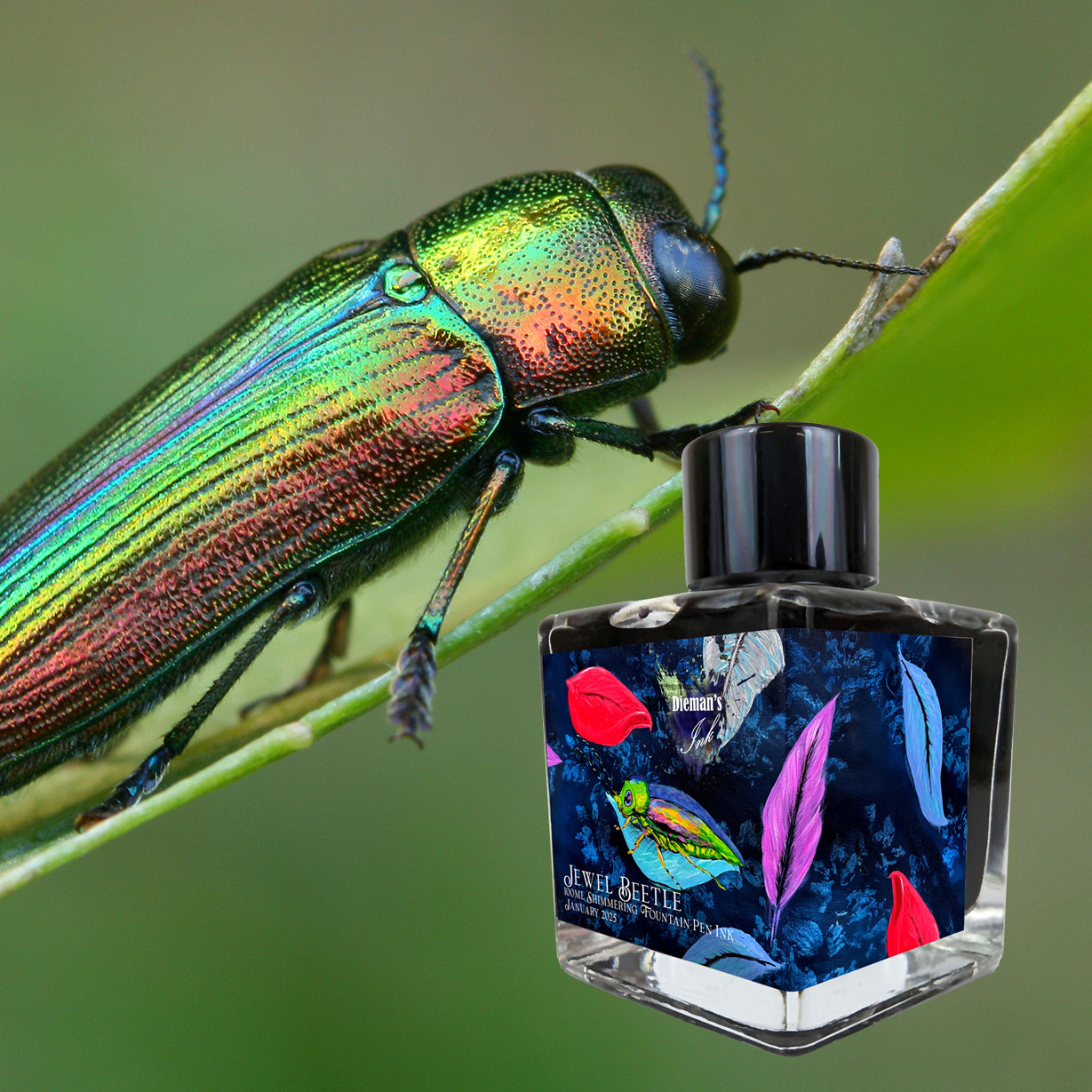 Van Dieman's 2025 January - Jewel Beetle - 100ml Shimmering Fountain Pen Ink
