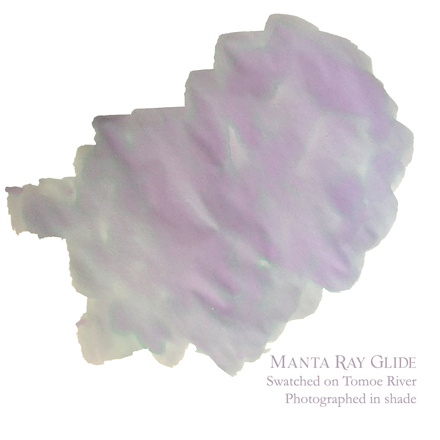 Van Dieman's & Pen Chalet's World Oceans - Indian: Manta Ray Glide