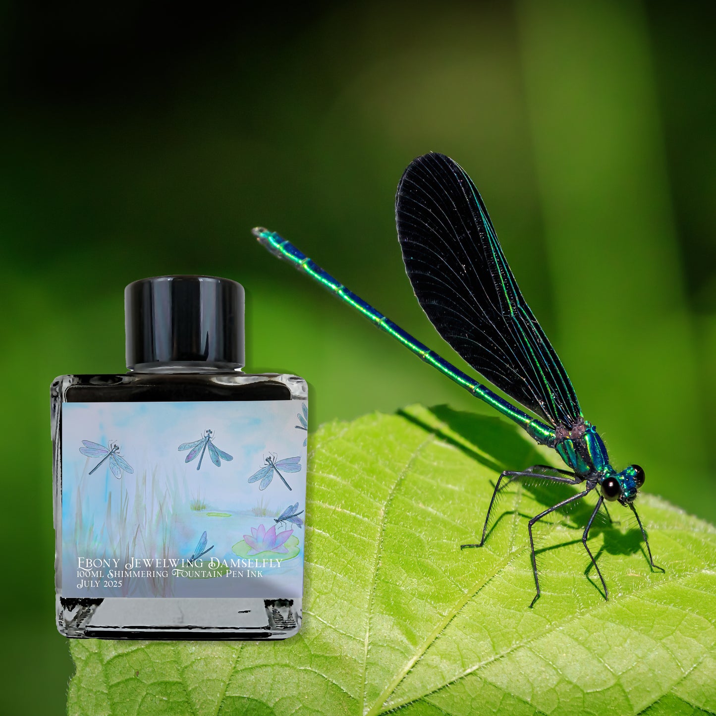 Van Dieman's 2025 July - Ebony Jewelwing Damselfly - 100ml Shimmered Fountain Pen Ink