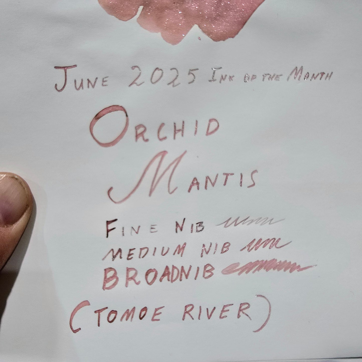Van Dieman's 2025 June - Orchid Mantis - 100ml Shimmered Fountain Pen Ink
