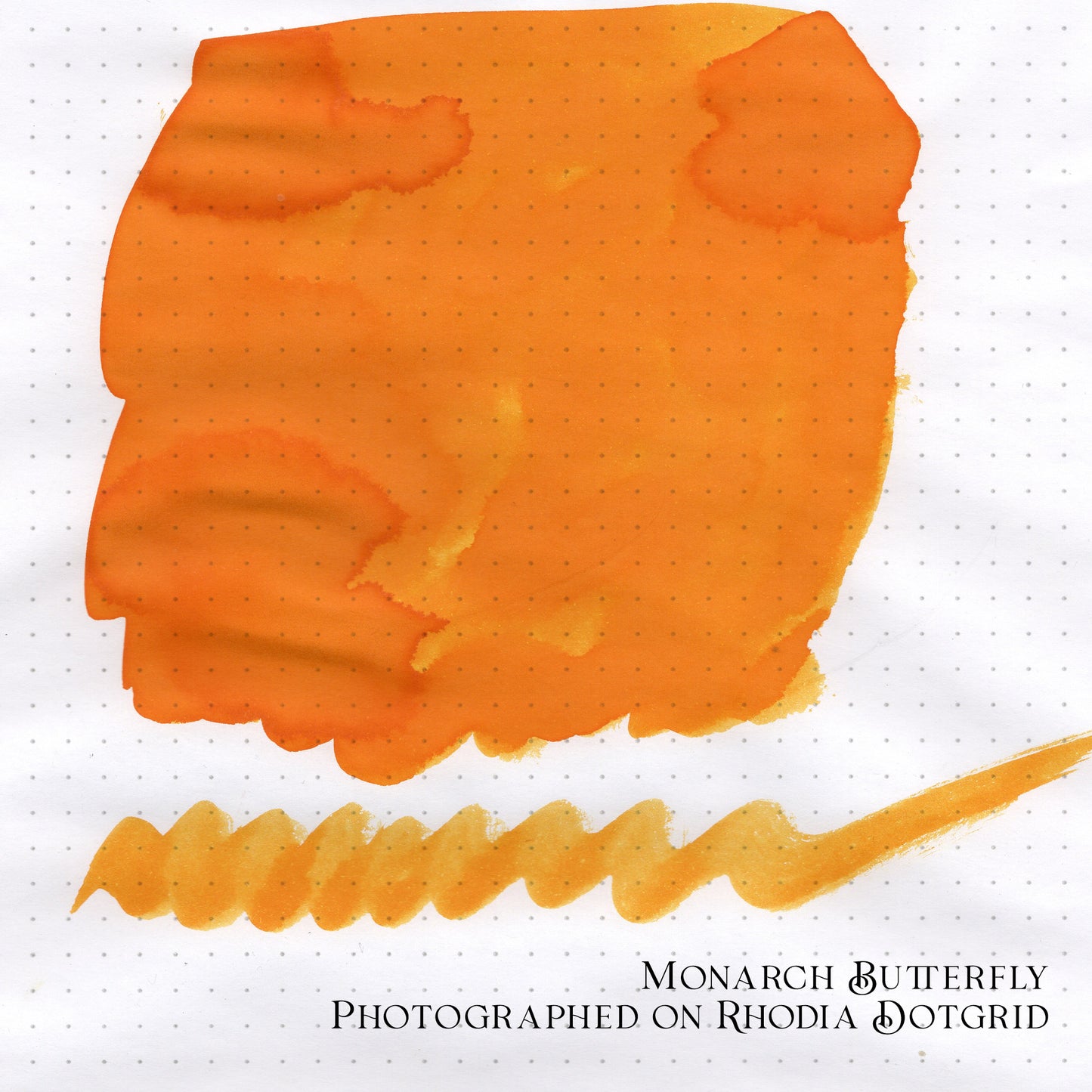 Van Dieman's 2025 August - Monarch Butterfly - 100ml Fountain Pen Ink
