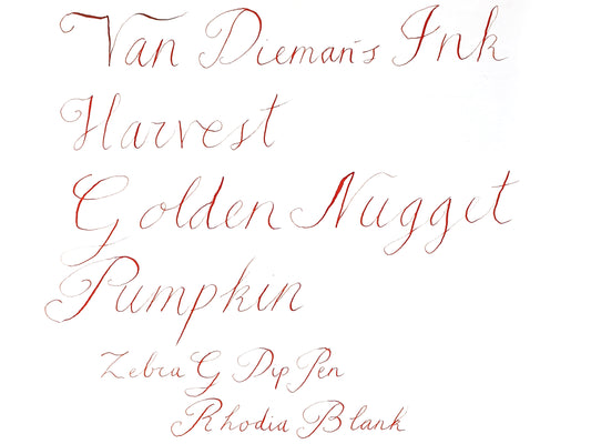 Golden Nugget Pumpkin Writing Sample