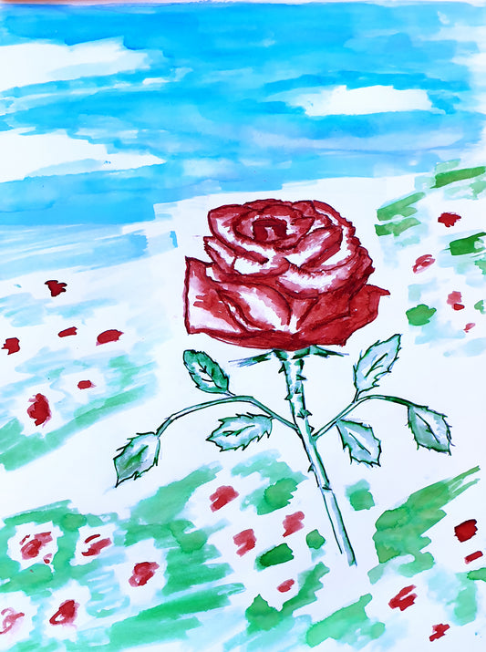 "Spring" - A Rose in Tasmanian Safron