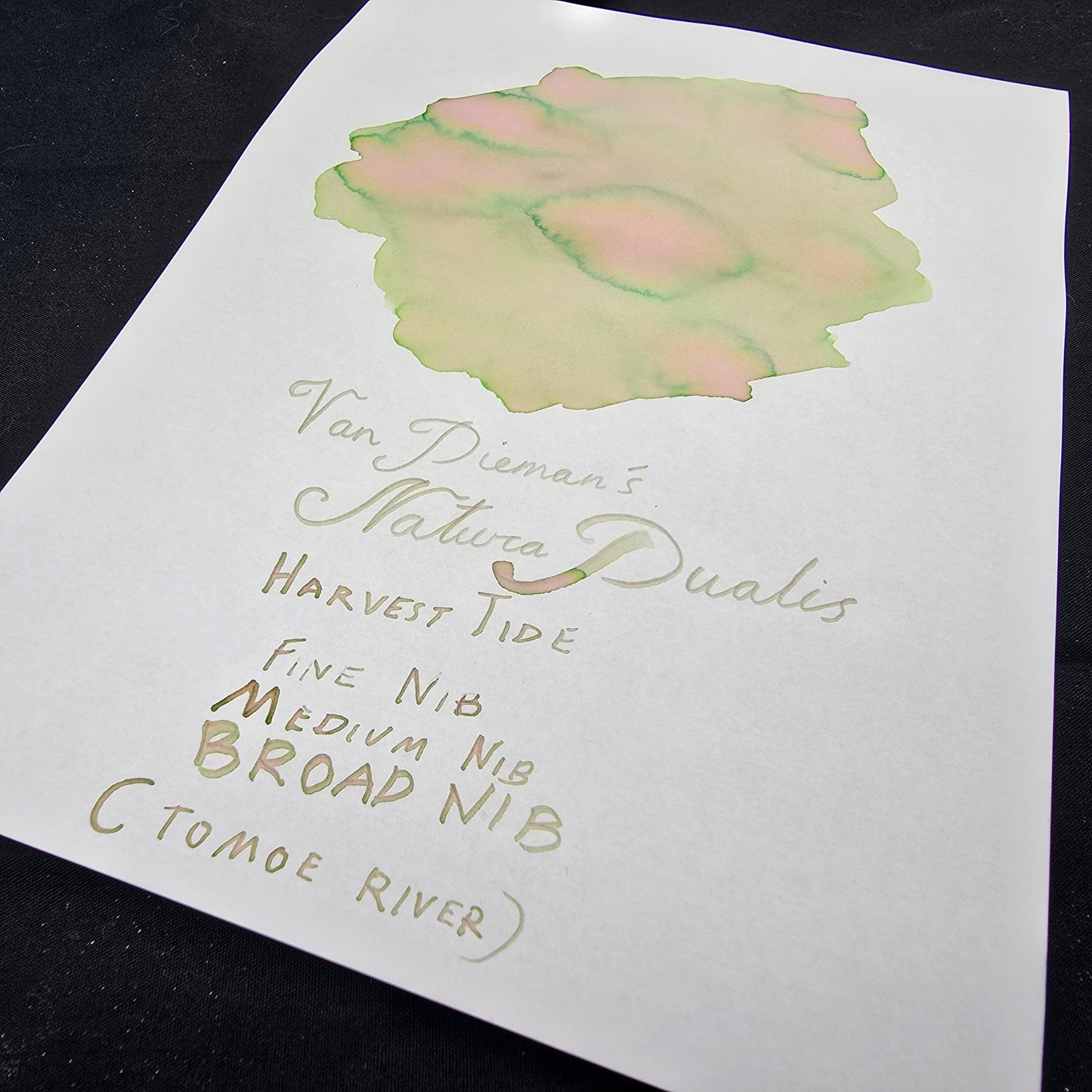 Van Dieman's Professional - Natura Dualis HarvestTide Dual Tone Fountain Pen Ink