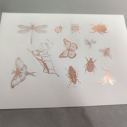 Van Dieman's 2025 Boxed Collection