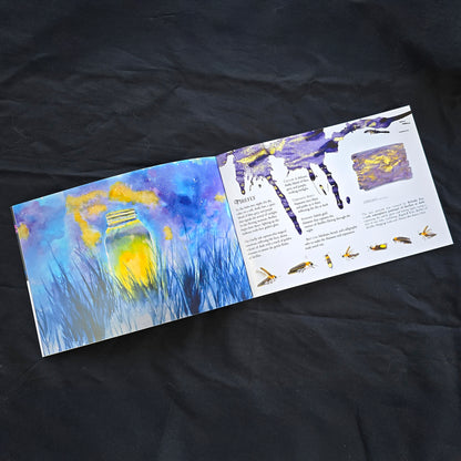 Van Dieman's 2025 Boxed Collection