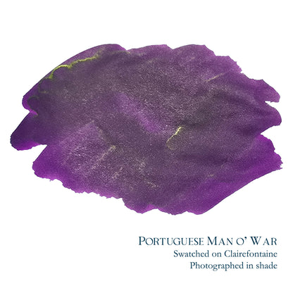 Van Dieman's & Pen Chalet's World Oceans - Atlantic: Portuguese Man of War