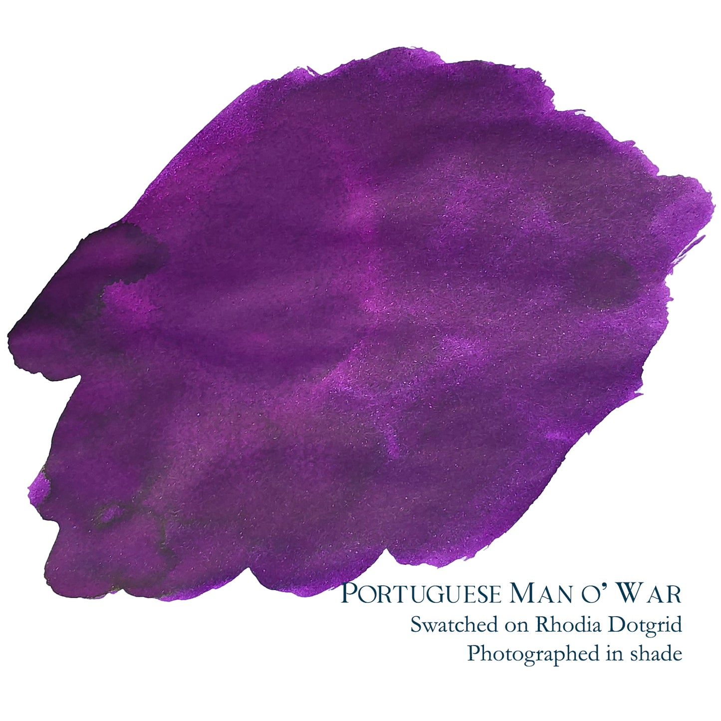 Van Dieman's & Pen Chalet's World Oceans - Atlantic: Portuguese Man of War