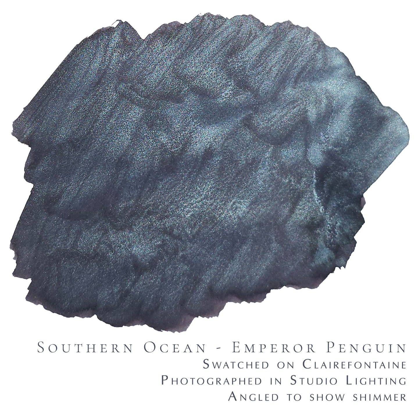 Van Dieman's & Pen Chalet's World Oceans - Southern: Emperor Penguin