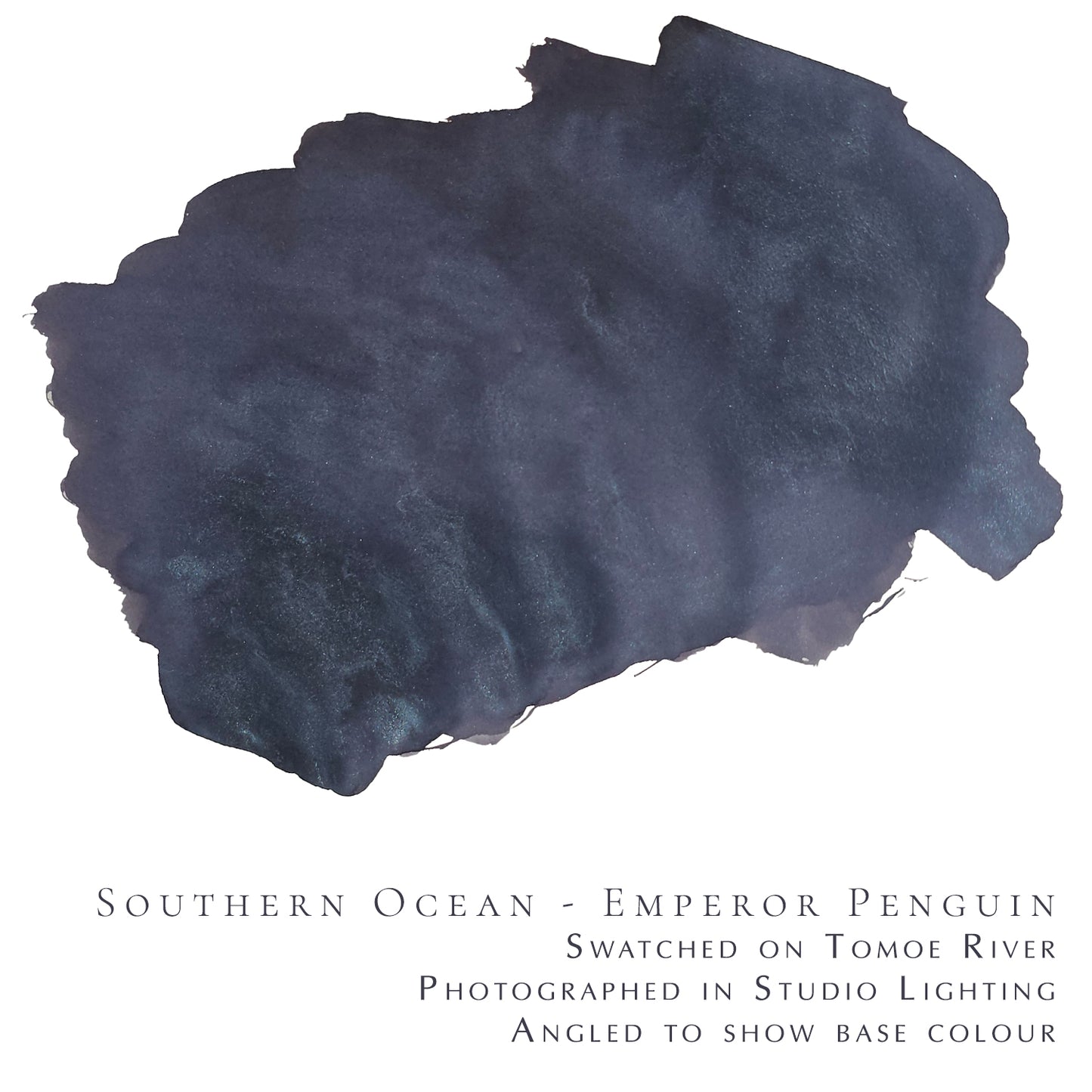 Van Dieman's & Pen Chalet's World Oceans - Southern: Emperor Penguin