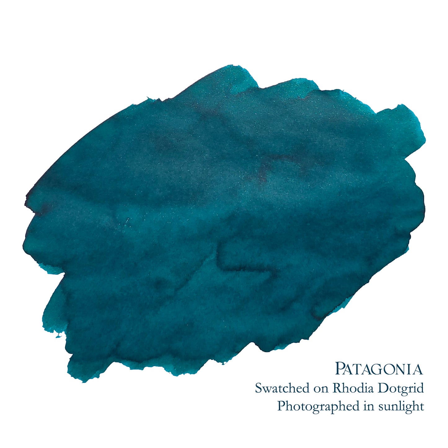 Van Dieman's & Pen Chalet's World Oceans - Southern: Patagonia