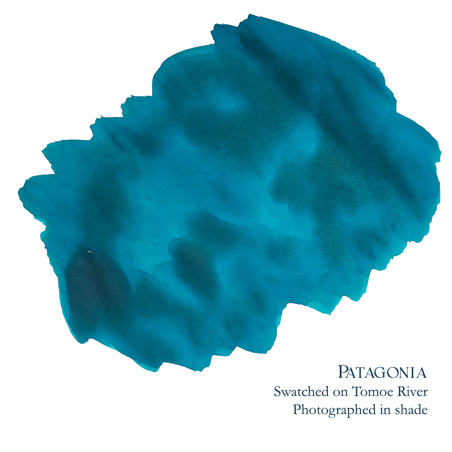 Van Dieman's & Pen Chalet's World Oceans - Southern: Patagonia