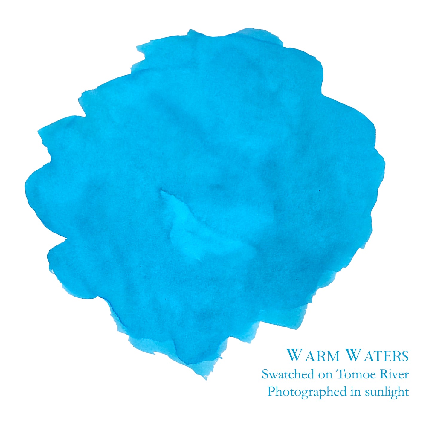 Van Dieman's & Pen Chalet's World Oceans - Indian: Warm Waters